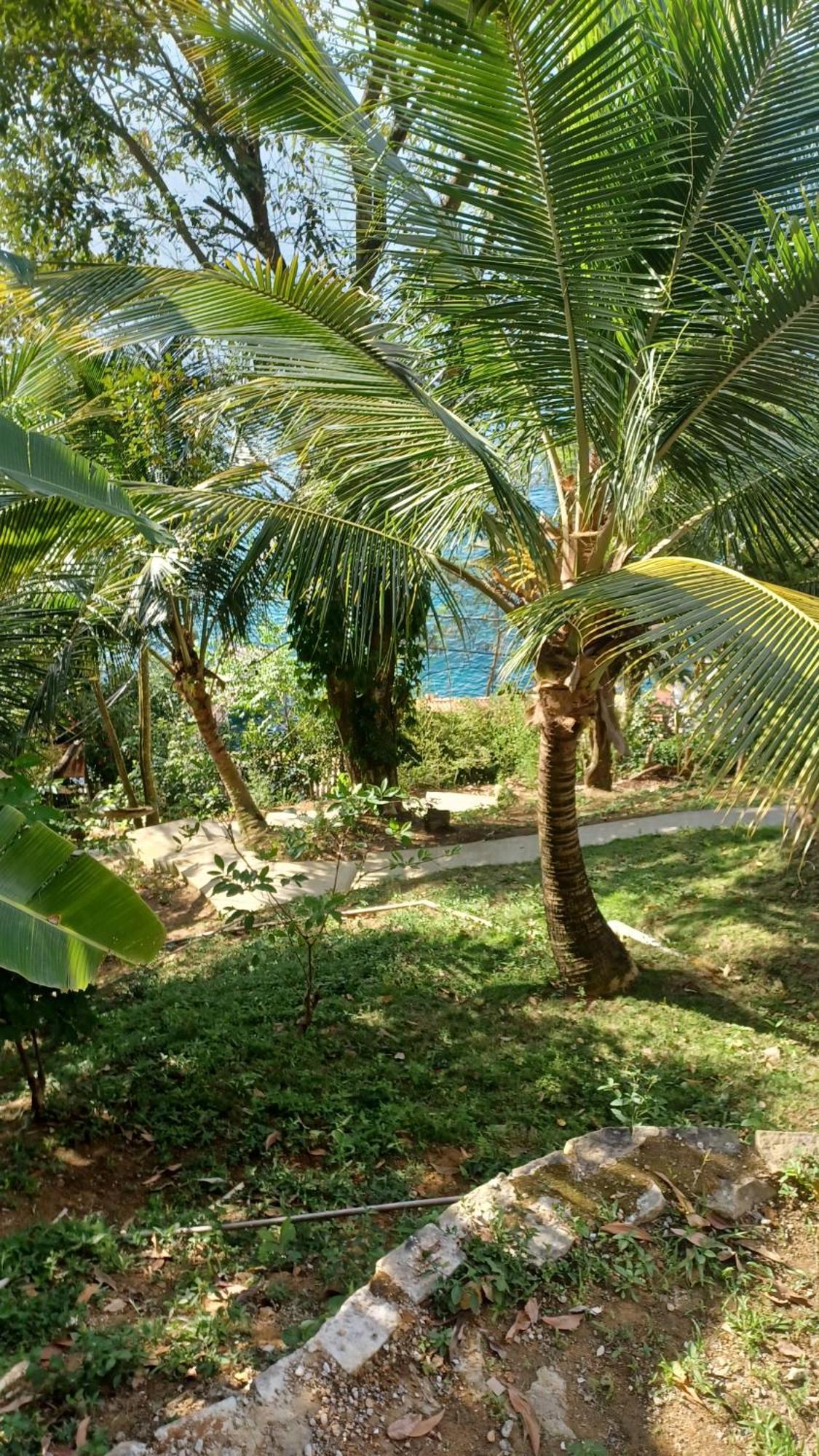 Saracura Hotel Praia de Aracatiba Bagian luar foto